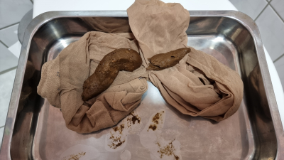 FULL SHIT LOAD NYLONS